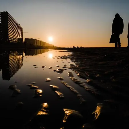 Apartment In Belgium With Stunning Sea View Ostend
