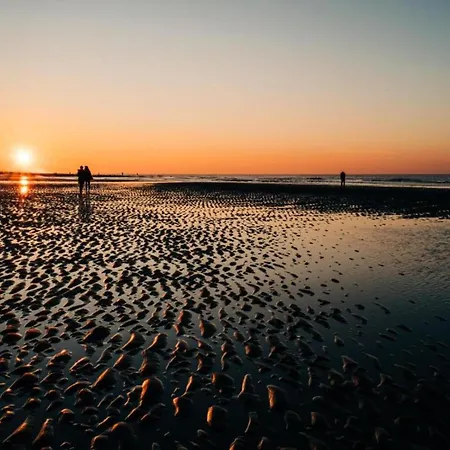 Lägenhet In Belgium With Stunning Sea View *