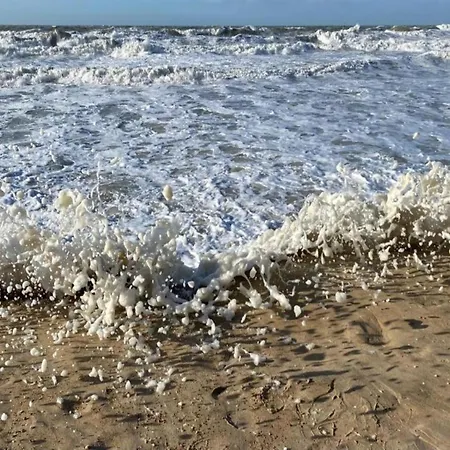 In Belgium With Stunning Sea View *